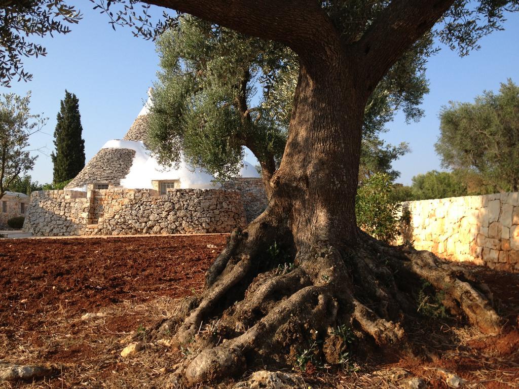 I Trulli Di Alice Villa Ceglie Messapica Eksteriør billede